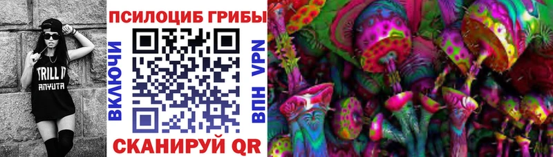 где можно купить наркотик  Мосальск  omg ТОР  Галлюциногенные грибы мухоморы 
